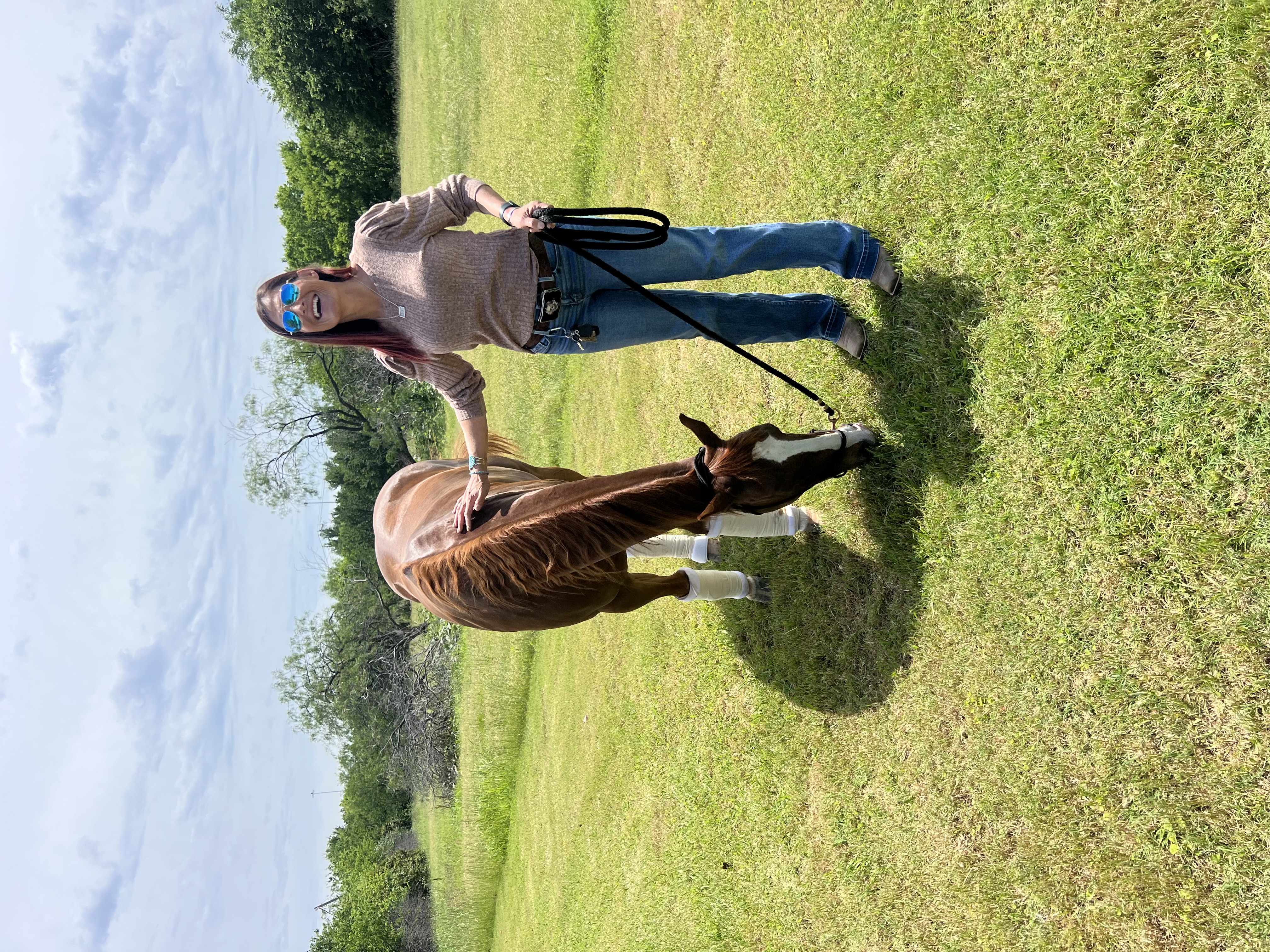 Horse Trailer & LQ