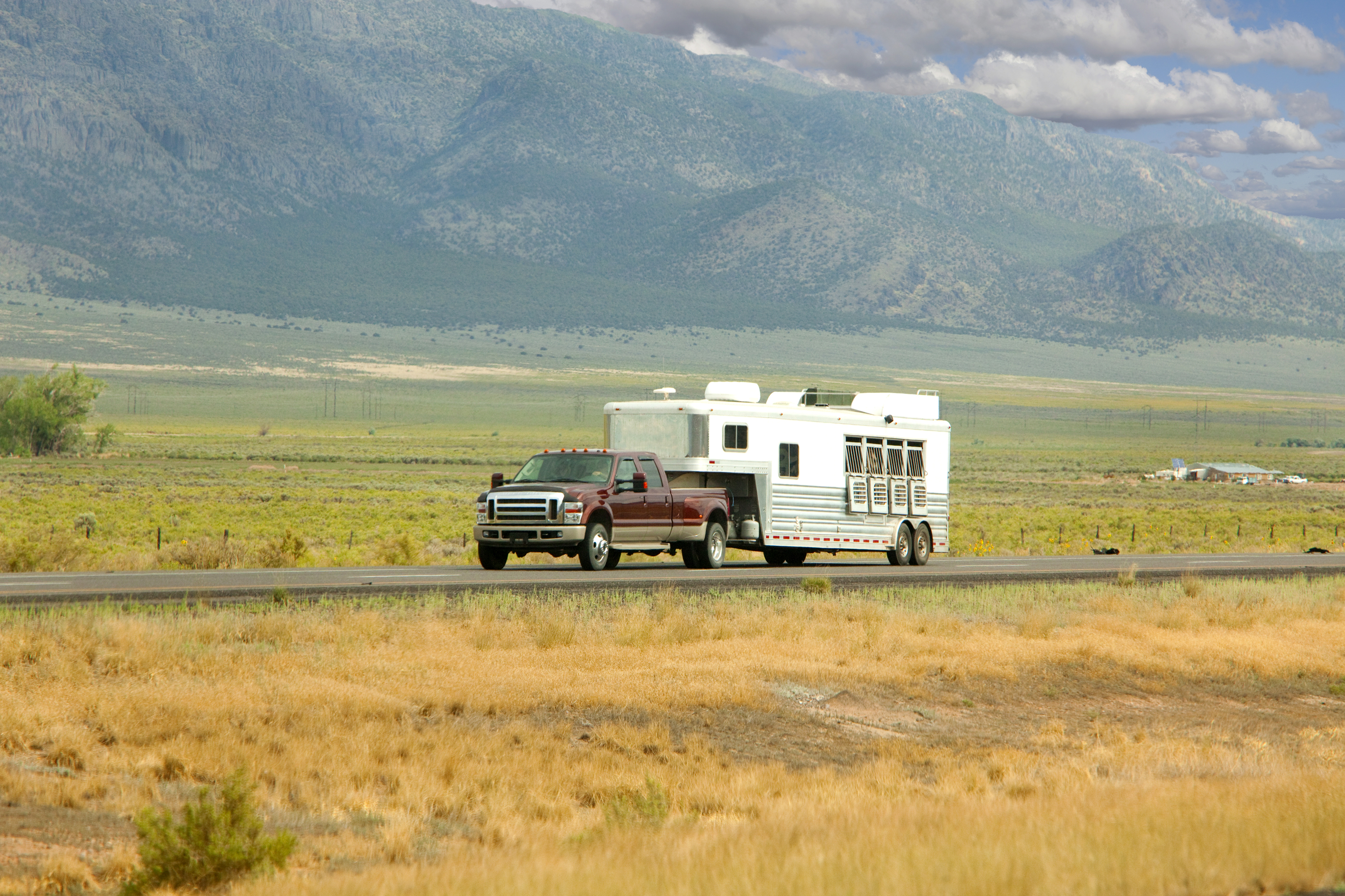 Horse Trailer & LQ